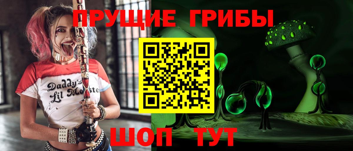 Псилоцибиновые грибы Psilocybine cubensis Десногорск