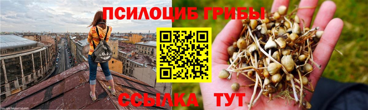 Десногорск  Псилоцибиновые грибы Magic Shrooms  купить наркотик  Псилоцибиновые грибы Magic Shrooms  Вход с VPN 